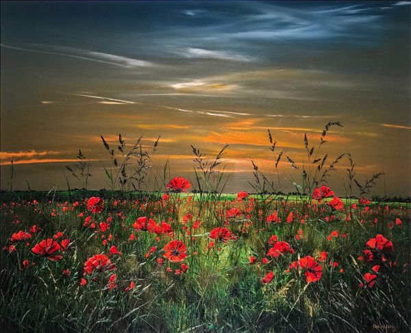 Poppy Field, 2019