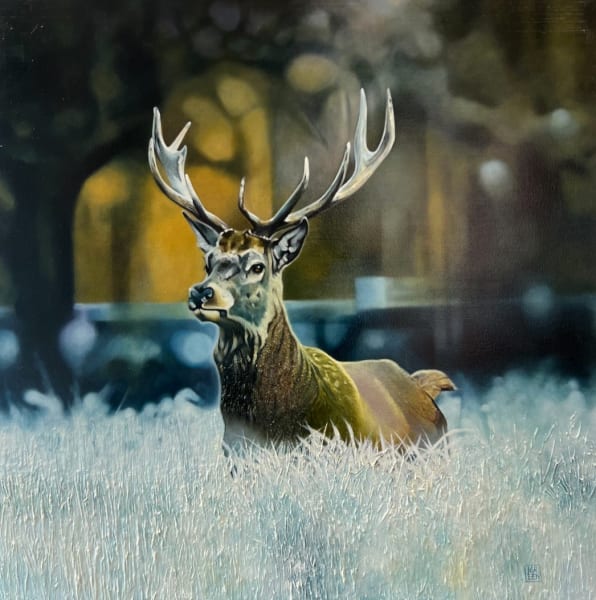 Winter Stag, 2024
