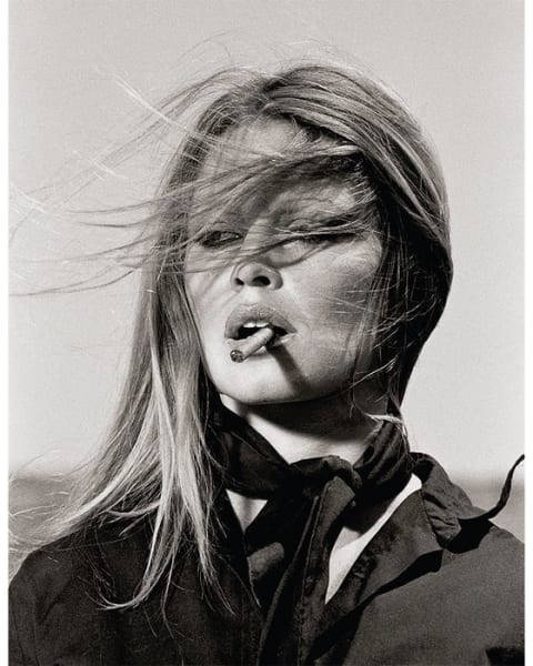 Brigitte Bardot (108 x 72 inch), 1971