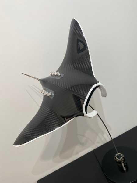 M Manta