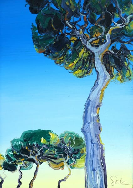blue sky pines, 2023