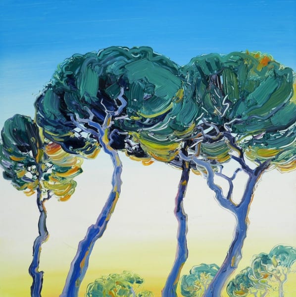 blue yellow pines, 2023