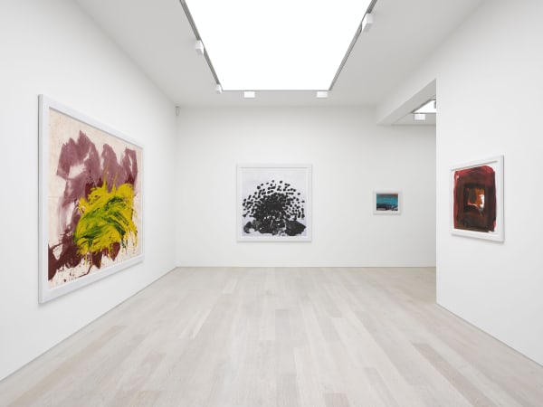 Howard Hodgkin Strictly Personal Part Ii Cristea Roberts Gallery