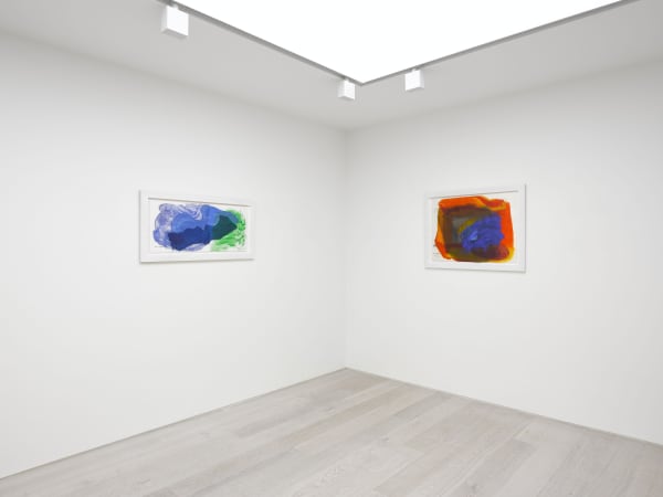 Howard Hodgkin Cristea Roberts Gallery