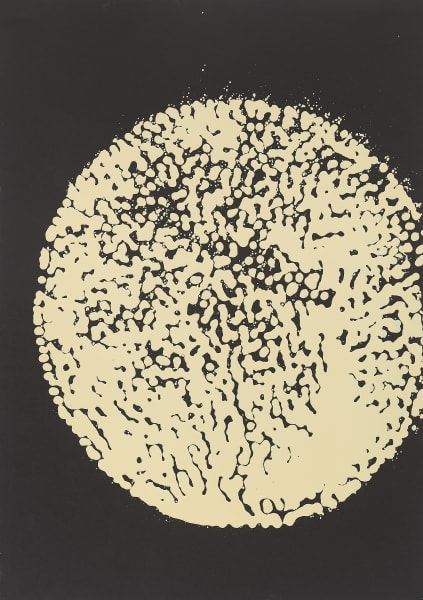 Untitled, 2003