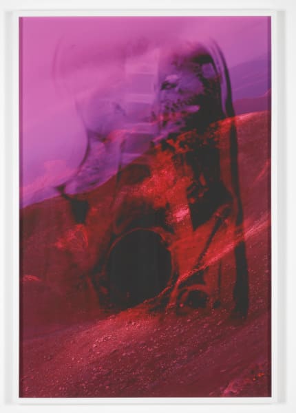 Image: New Order: Art and Technology in the Twenty-First Century