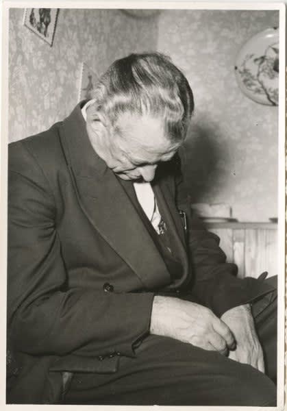 Image: João Penalva