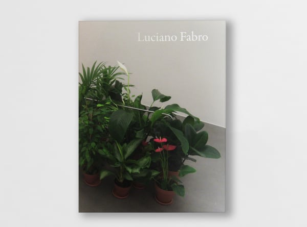 Image: Luciano Fabro