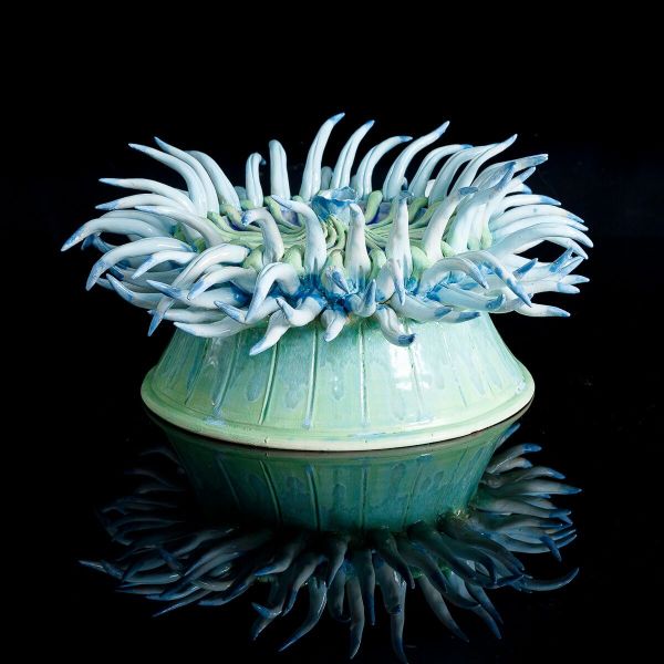 Frances Doherty, Blue and Green Long Tentacle Anemone