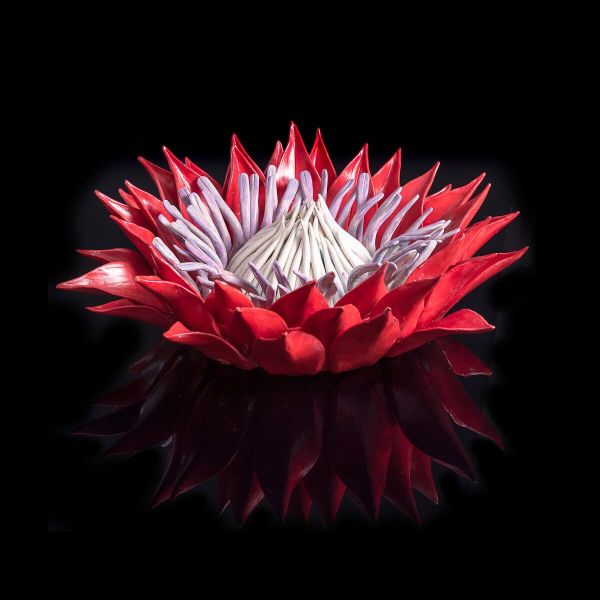 Frances Doherty, Red and Lilac Protea with Blue Glass
