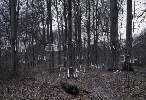 Olaf Breuning Complaining forest, 2009 C-print 150 x 180 cm 59 1/8 x 70 7/8 in Edition of 6 plus 2 artist's proofs