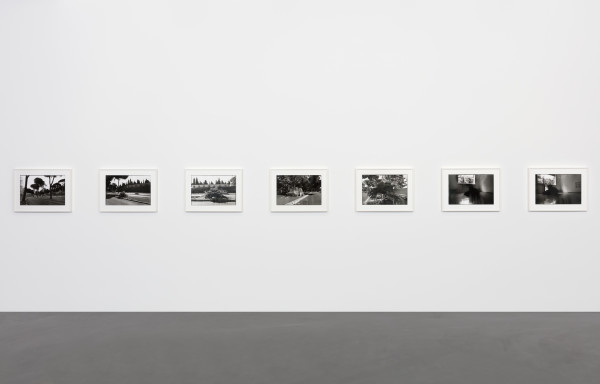 <span class=%22title%22>Ceppo Sradicato (series of black and white photographs)<span class=%22title_comma%22>, </span></span><span class=%22year%22>2019</span>