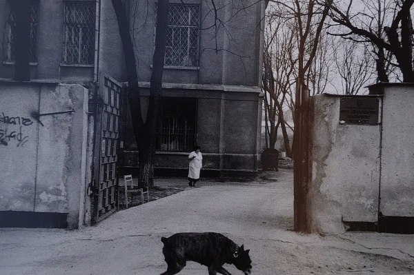 Nicholas Hopkins,