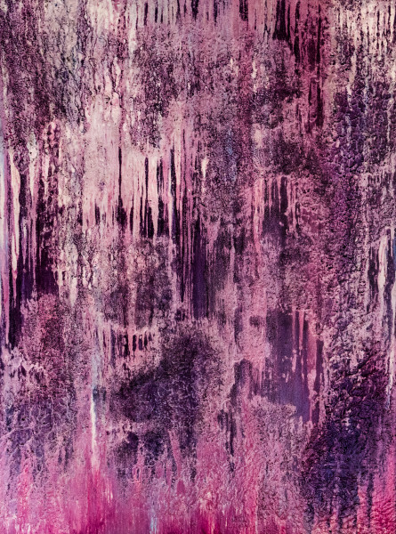Roger Holtom, Narnia, 2018
