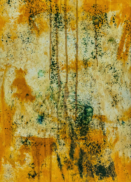 Roger Holtom, Gallante, 2018