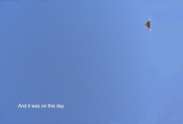 Nicole Wassall, Bird in a Cage, 2020
