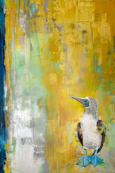 Daniel Quirke, Blue Footed Booby- Looking For His Mate, 2019