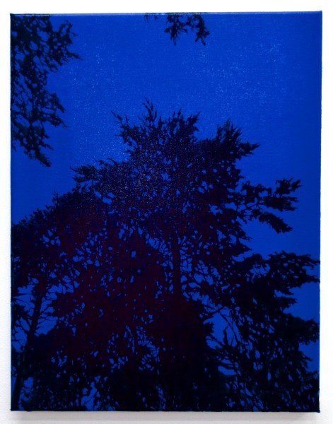 Alex Gough, Hiipuva Valo (Dwindling Light), 2022