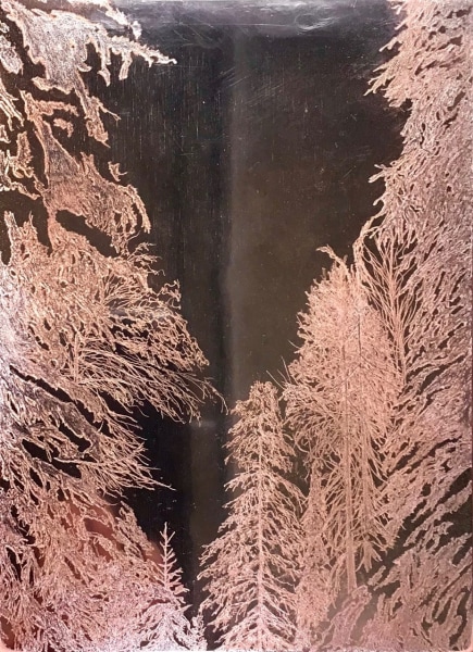 Alex Gough, Metsän Hiljaisuus (Silence of the Forest), 2021