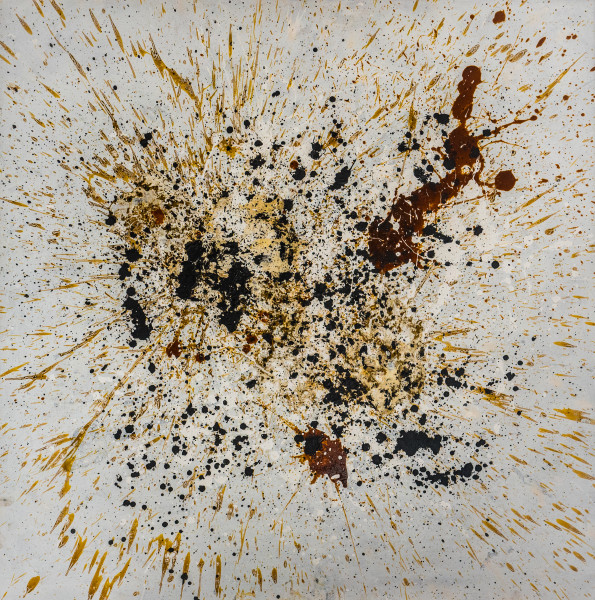 Roger Holtom, Koy, 2018