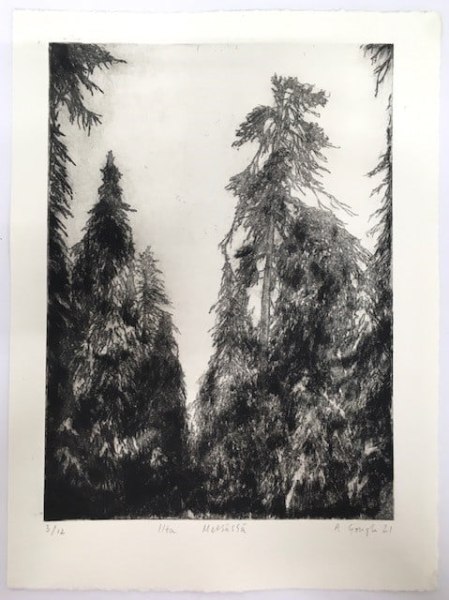 Alex Gough, Ilta Metsässä- Evening in the Forest, 2021