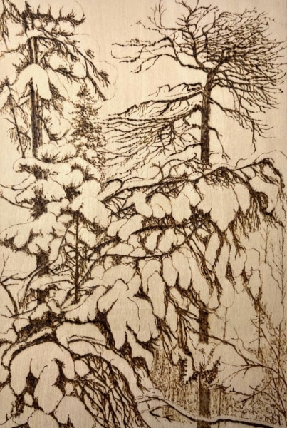 Alex Gough, Jäätyneitä Puita (Frozen trees), 2024