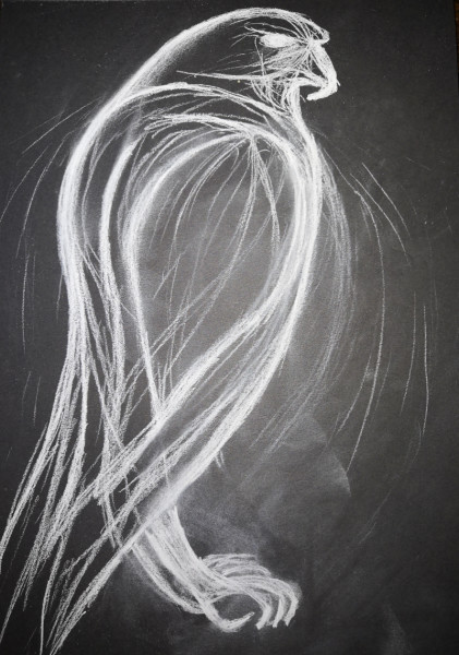 Paul Savage Smooth Curves, 2019 Coloured pencil on black paper 30 x 21 cm 11 3/4 x 8 1/4 in