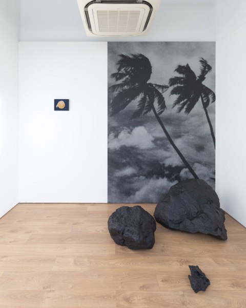 Sinta Tantra, Palm Wallpaper Piece, 2023