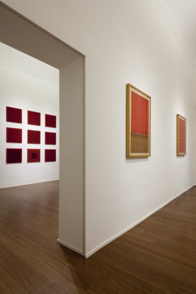 Bernard Aubertin, PIctorial situation of red, Installation view