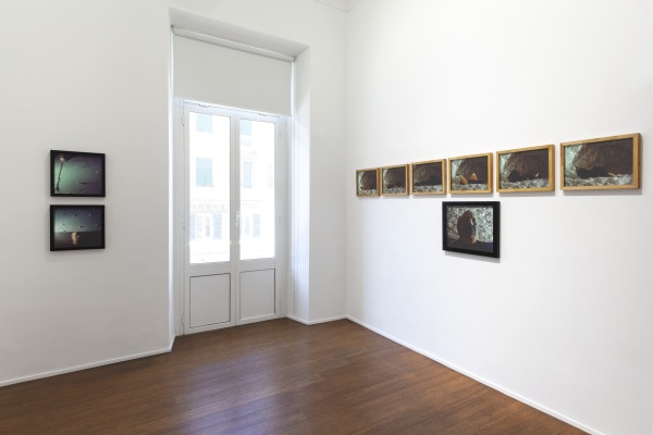 1 Michele Zaza Viaggiatore Assoluto Abc Arte 2022 Ehibition View0868 Copia