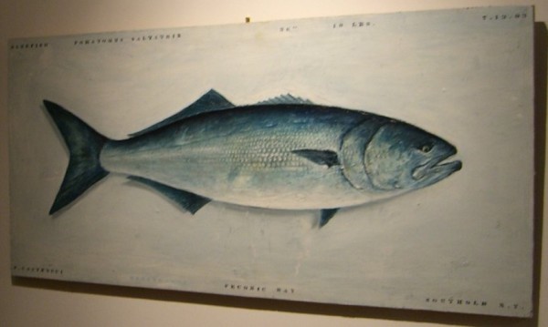 Andrew Castrucci Fish, 2002 Oil on wood 20 x 50 inches 50.8 x 127 cms