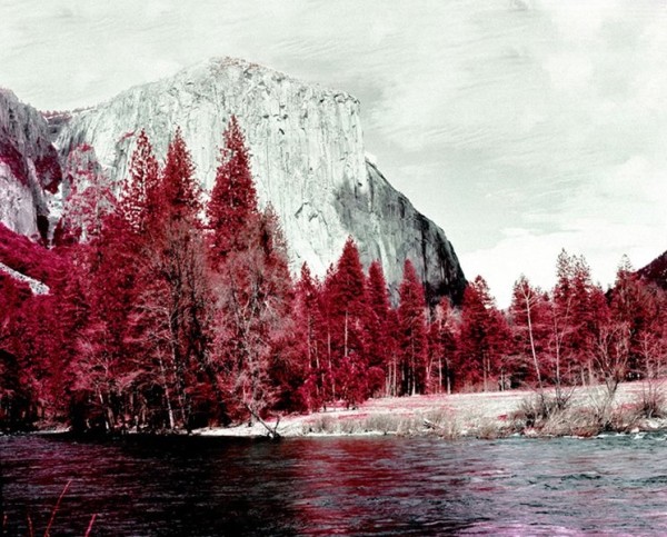Marco Walker El Capitan, 2010 Giclée print mounted on aluminum 30 x 23.5 inches Edition of 10