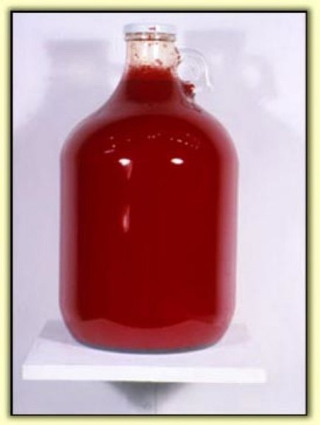 Andrew Castrucci, Red Bottle, 1996
