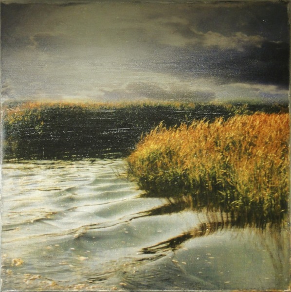 Dorothy Simpson Krause, Ripples, 2011