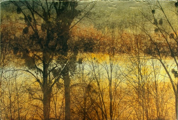 Dorothy Simpson Krause, Stream, 2011