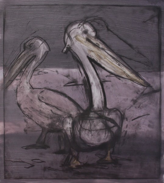 Malcolm Moran, Pelican Prepares Himself to Fish #1