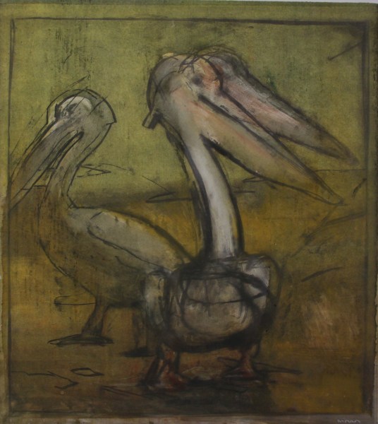 Malcolm Moran, Pelican Prepares Himself to Fish #2