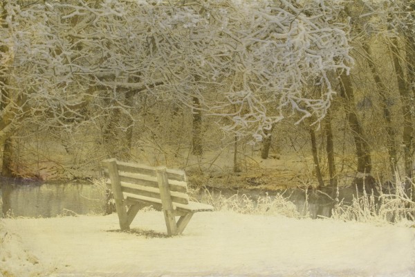 Dorothy Simpson Krause Spot for Contemplation 2006 UV cured flatbed print on polycarbonate over silver leaf on board 32 x 48 x 1.5 in.