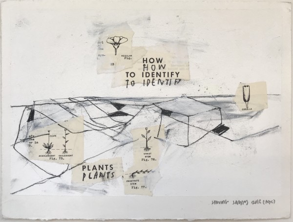 Jimmie James, how to identify plants, 2016