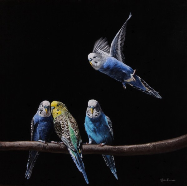 Marco Ramasso, Parakeets, 2014