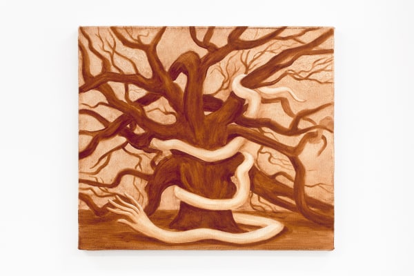 Paula Turmina, The oak tree above, 2024