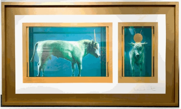 Damien Hirst, The Golden Calf , 2009