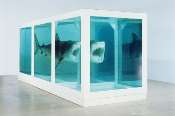 Damien Hirst, The Physical Impossibility of Death in the Mind of Someone Living (lenticular), 2013