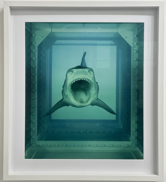 Damien Hirst, The Physical Impossibility of Death in the Mind of Someone Living, 2012