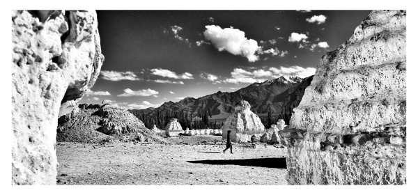 William Dalrymple , Shey Stupa Field Ladakh