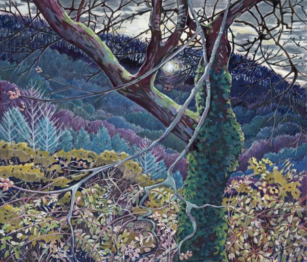 Ginny Brink