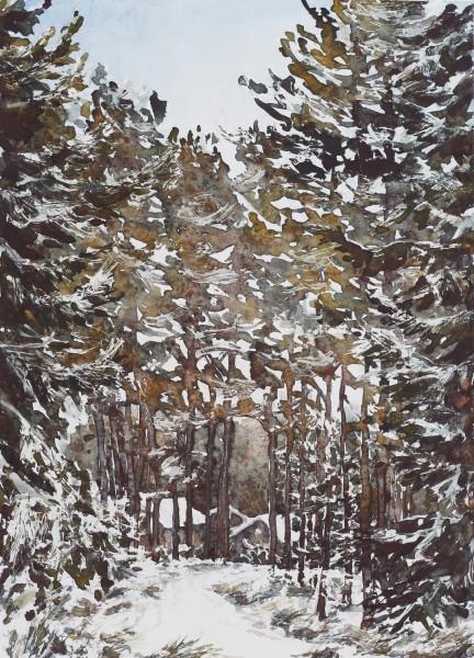 Caroline Ward-Raatikainen
