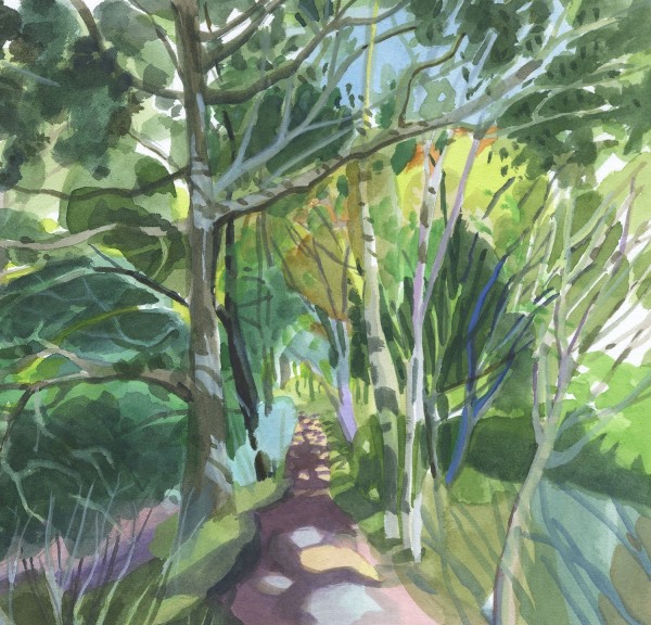 Mary Woodin Woodland Path watercolour £350