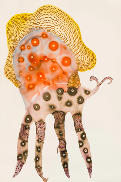 Kelly McCallum