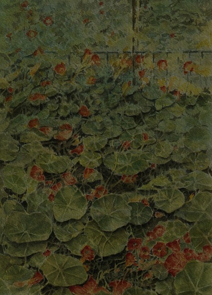 David Stacey